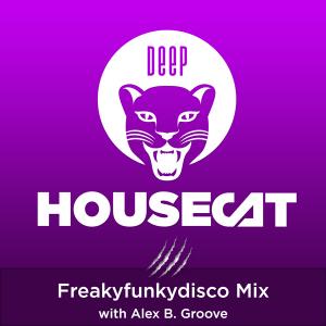 freakyfunkydisco